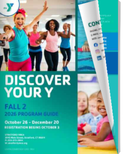 STF Fall 2 PG Flip Cover